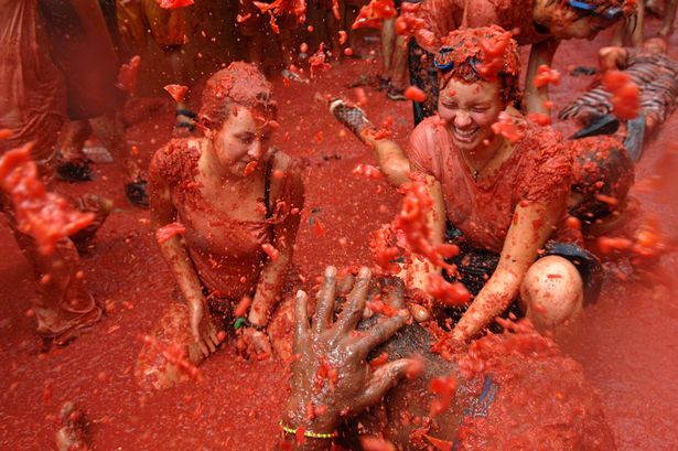 【浪速風トマト祭り】大阪がスペインのトマト祭りを真似るとこうなる