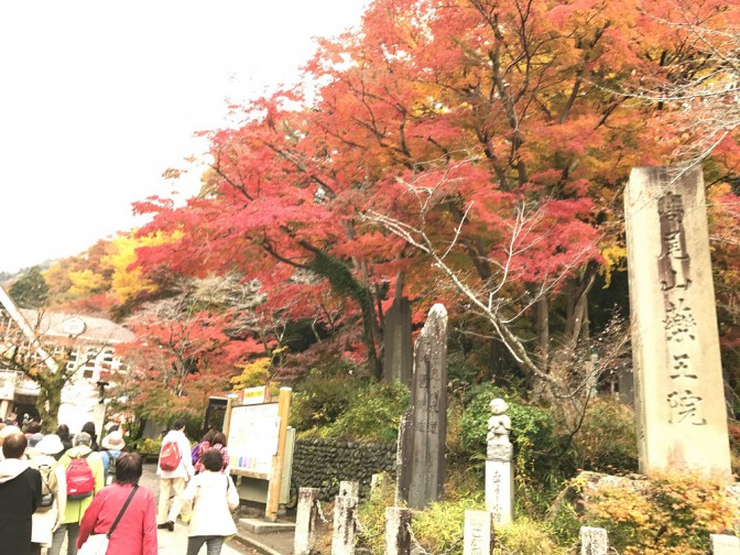 【高尾山の紅葉】iPhoneで撮ってプリントしよう～撮影編～