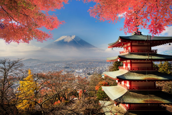 【富士山×紅葉】世界遺産で紅葉を見る至福