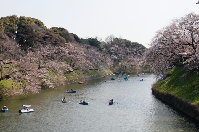 お花見シーズン突入! 家族連れで桜を楽しめるイチオシスポット紹介