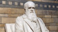 ダーウィンの生涯から学ぶ、イノベーションを生み出すための4箇条