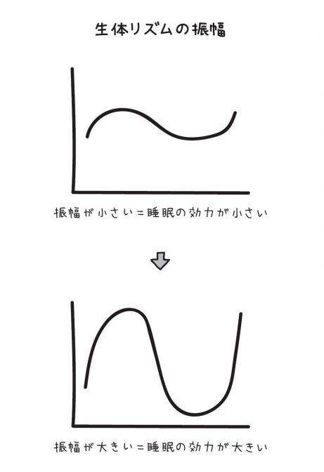 生体リズムの振幅