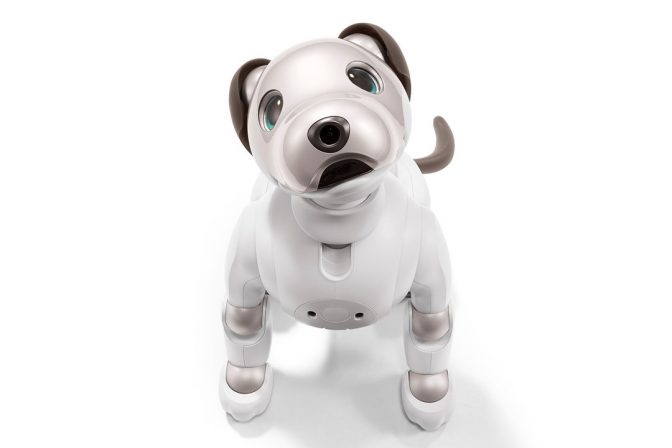 あの犬型ロボットが「aibo」になって12年振りに復活! 気になるスペックを徹底解説