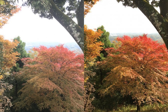 【高尾山の紅葉】iPhoneで撮ってプリントしよう～撮影編～