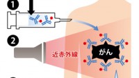 新たながん治療法を日本人が開発