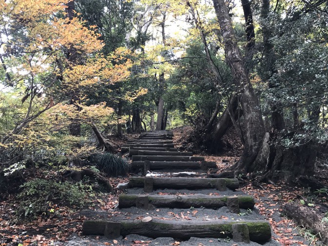 【高尾山の紅葉】iPhoneで撮ってプリントしよう～撮影編～