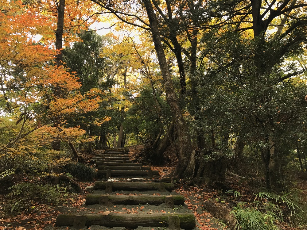 【高尾山の紅葉】iPhoneで撮ってプリントしよう～撮影編～