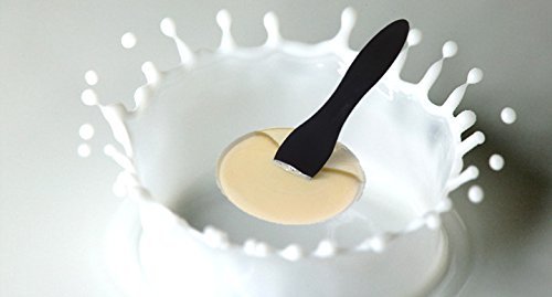 WARMTEC icecream SPOON