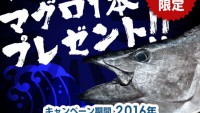 【朗報】本マグロまるまる1匹プレゼント。そのままもらう？小分けでもらう？