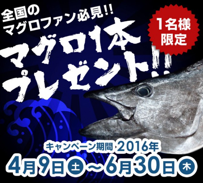 マグロまるまる1本プレゼントキャンペーン