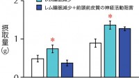 寝不足は過食に 研究結果