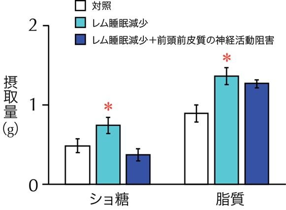 筑波大学が発表した研究成果