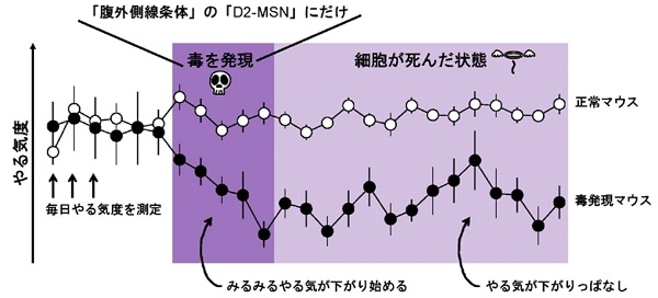 今すぐポチリたい。脳内の「やる気スイッチ」が慶応大らの研究チームにより発見される 1