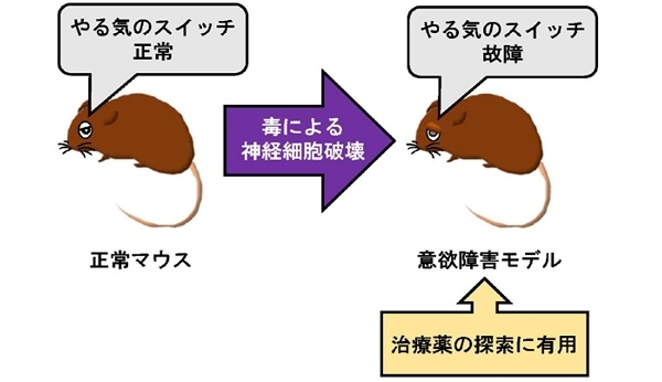 今すぐポチリたい。脳内の「やる気スイッチ」が慶応大らの研究チームにより発見される 2