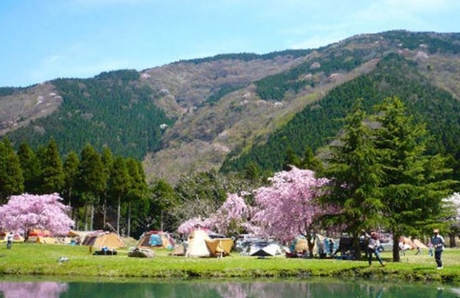 桜がキレイなリバーランズ角川