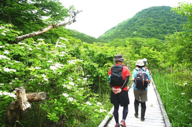 春の野山を歩くのも楽しい