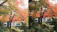 【高尾山の紅葉】-iPhoneでキレイに撮るための2つのコツ編-