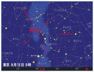 金曜日は親子で流れ星観察