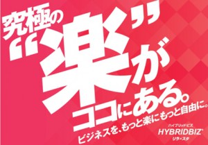 サカゼン「HYBRIDBIZ」_1