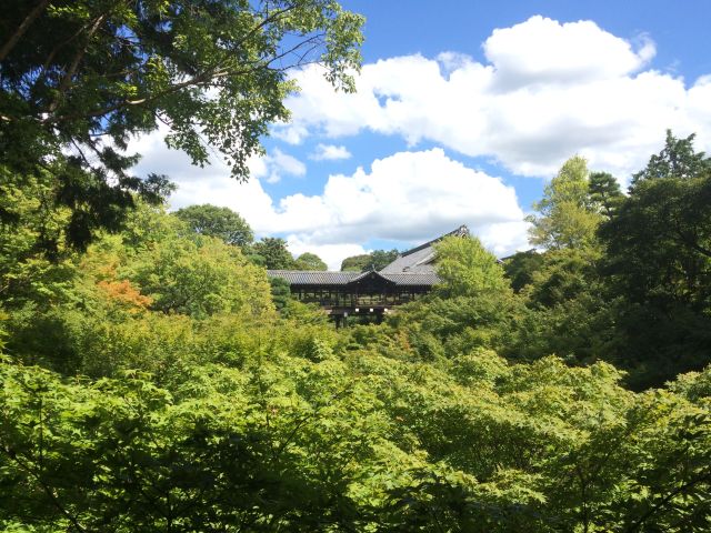 この時期がおススメ！新幹線の往復より安い1泊京都旅行