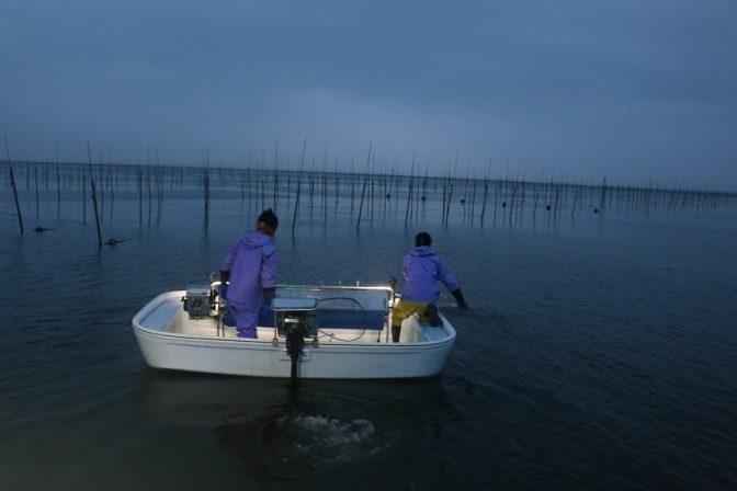 佐賀県産の有明海苔