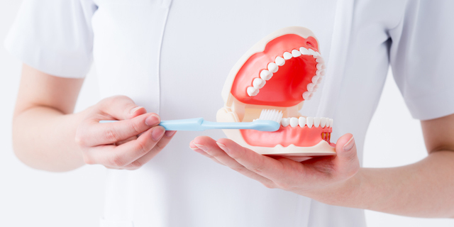 歯科医が伝える、知っているようで知らない正しい歯磨きの方法