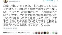 心を救われる人が続出。心療内科医が、猫を亡くして悲しむ人に贈ったある言葉