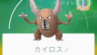 40歳にしてポケモンマスター